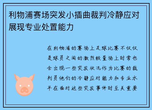 利物浦赛场突发小插曲裁判冷静应对展现专业处置能力 利物浦赛场突发小插曲裁判冷静应对展现专业处置能力